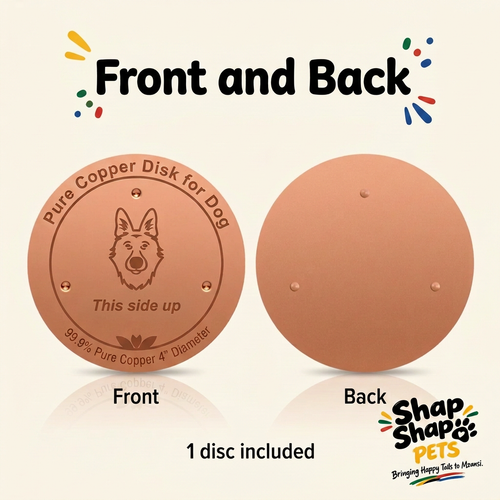 Corrected front-and-back copper disc picture